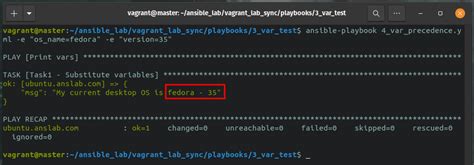ansible playbook command line arguments