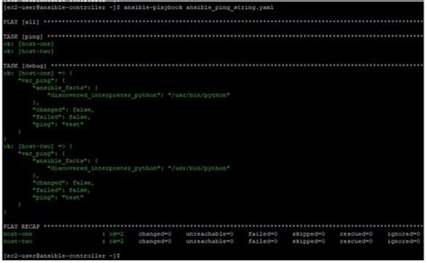 ansible playbook example ping