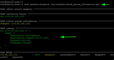 ansible playbook shell command examples