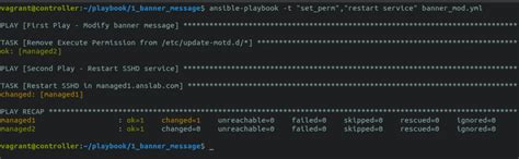 How Do Ansible Tags Work?