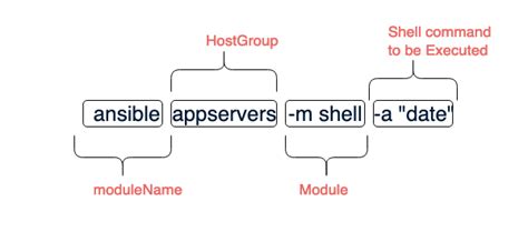 ansible shell curl example