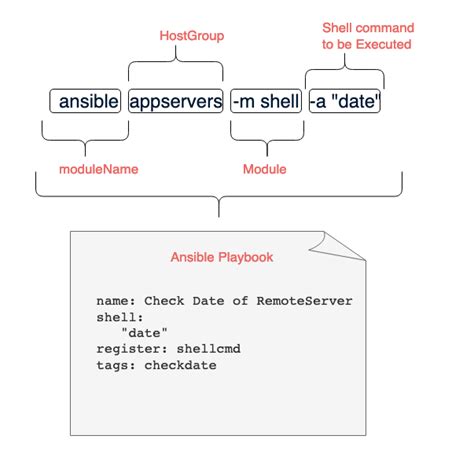 ansible shell module examples