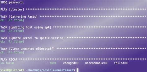 ansible use sudo password