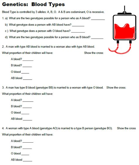 blood types worksheet answers