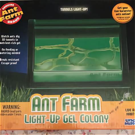 ant colony for sale usa