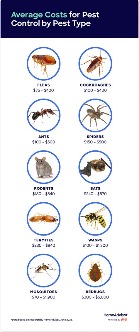 ant pest control cost
