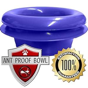 ant proof bowl for cats