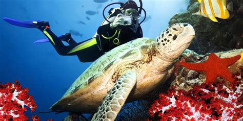 Antalya Scuba Diving Experience