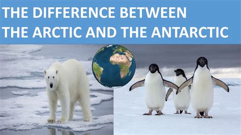 antarctic and arctic differences