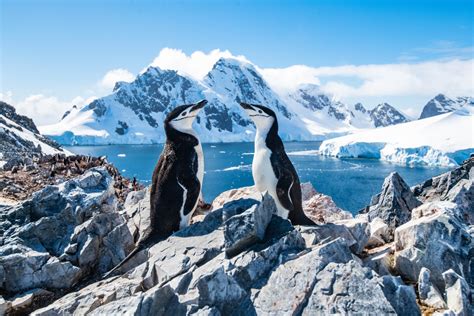 antarctica adventure tour best time