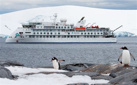 antarctica cruise ship cabin