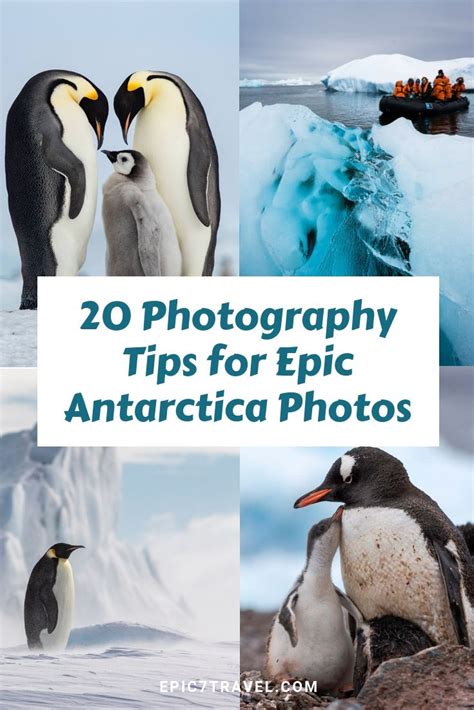 antarctica cruise tips and tricks