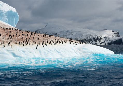 antarctica temperature