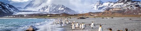 Antarctica 2025 Celebrity Cruises Cruise Critic Community