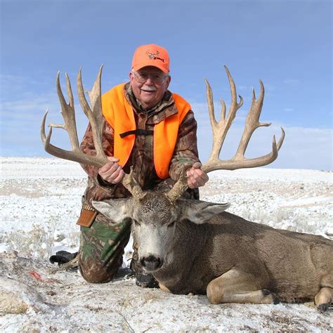 antelope island mule deer 2023