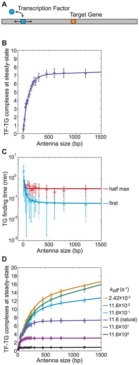 Antenna Effect Esd