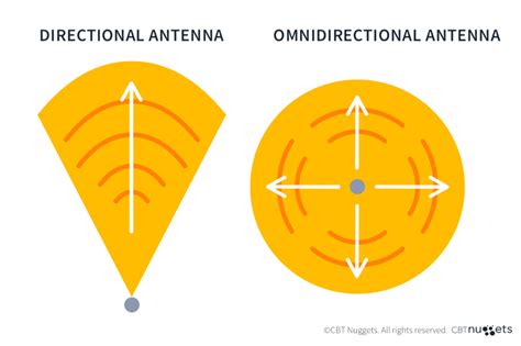 Antenna Meaning Synonym