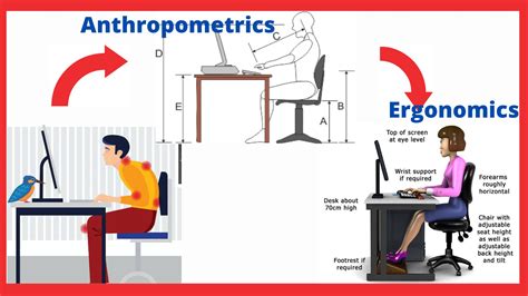 Anthropometric Ergonomics