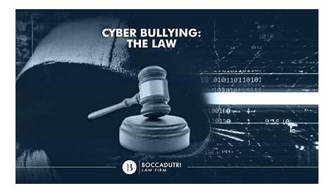 Cyber Bullying Laws: Will They Protect Our Kids?