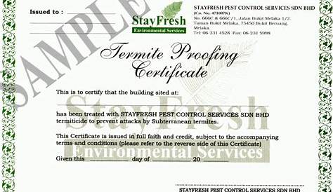 Anti Termite Treatment Warranty Certificate Format Pestcontrolcertificate11 Star Al Madina Pest Control