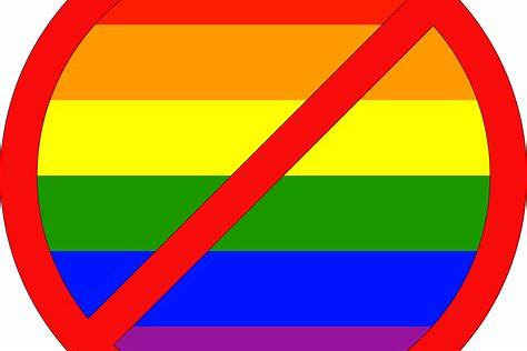 ANTI LGBT FLAG