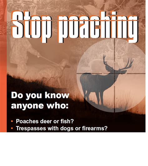 Anti-Poaching