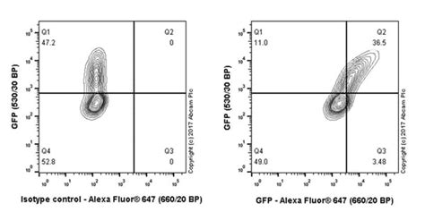 anti-gfp antibody flow cytometry