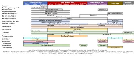 Antibiotic Coverage Chart Wiki