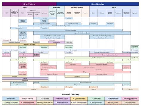 Antibiotic Coverage Sheet