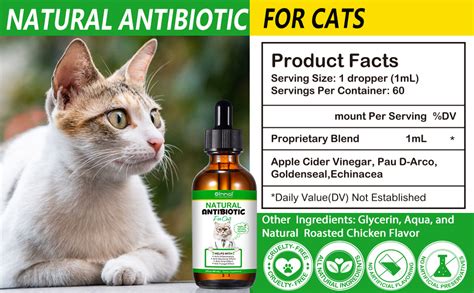 Antibiotic Ointment For Cat Abscess