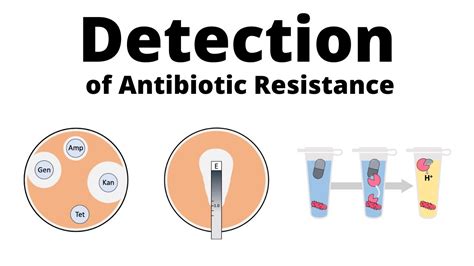 antibiotic resistance test price in bangladesh
