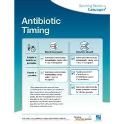 antibiotic timing and outcomes in sepsis