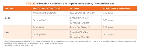 antibiotics for pneumonia in dogs