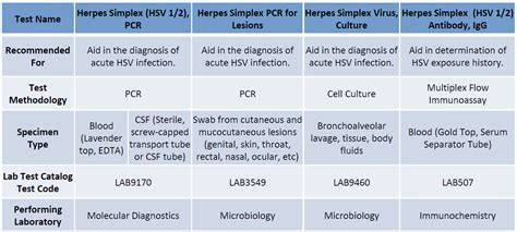 Antibodies Hsv 2