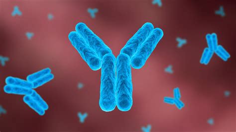 Antibody Science Journal