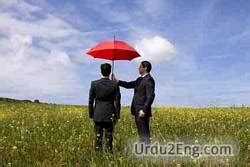 anticipated meaning in urdu with example