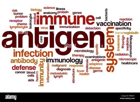 Antigen In Another Word