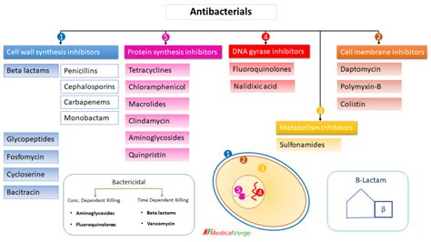 Antimicrobial Antibiotics Called