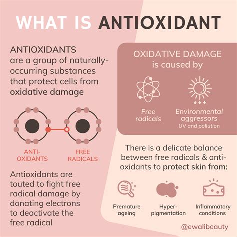 What Are Antioxidants And Do You Really Need Them? RADO Complete