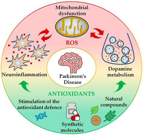 antioxidants and parkinsons disease treatment