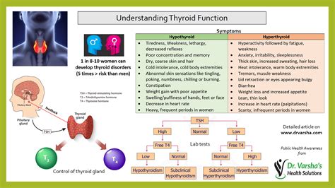 Antioxidants And Thyroid Function