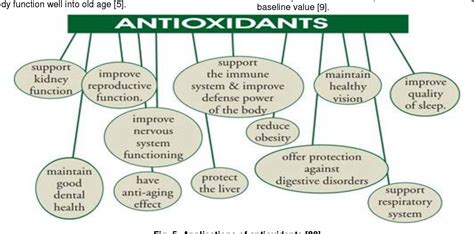 Antioxidants Function In The Body