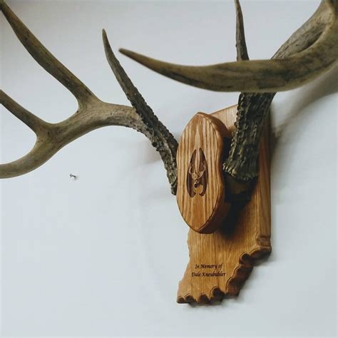 Antler Mount Skull Cap