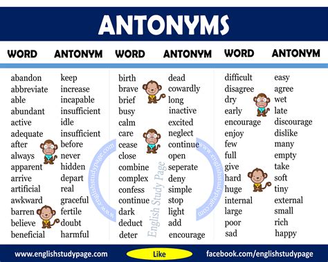 180 Antonym Words List in English English study, English grammar, English vocabulary