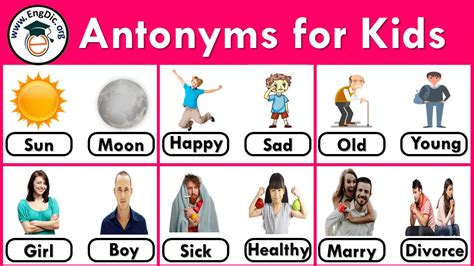 antonyms word list for kids