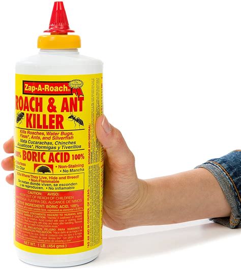 ants and boric acid