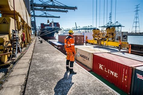 antwerpen port customs code