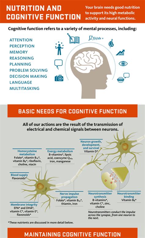 anxiety and cognitive function