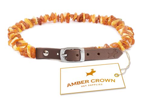 anyone used an amber collar for ticks