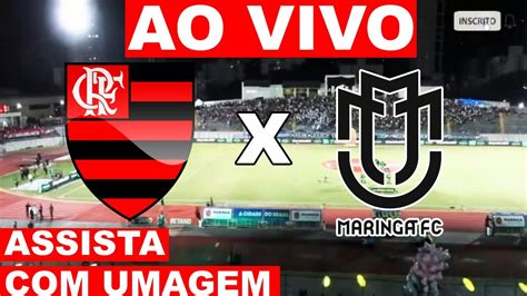 ao vivo hoje flamengo